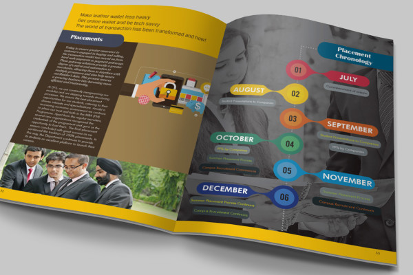 Placement Brochure